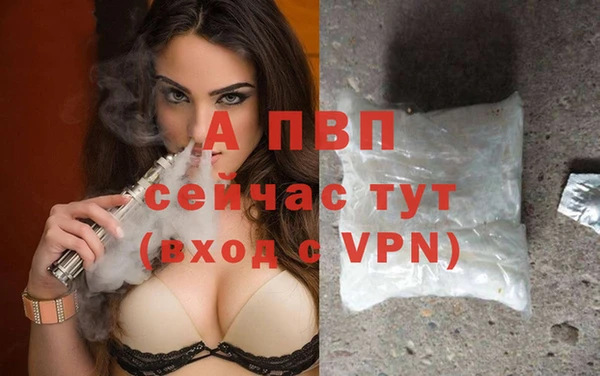 твердый Абаза