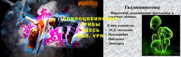 твердый Абаза