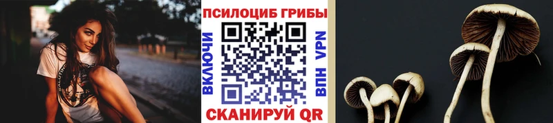 Галлюциногенные грибы Psilocybe  цены наркотик  Касли 
